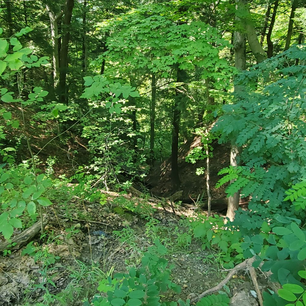 Outlook