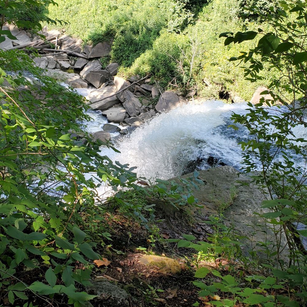 Outlook