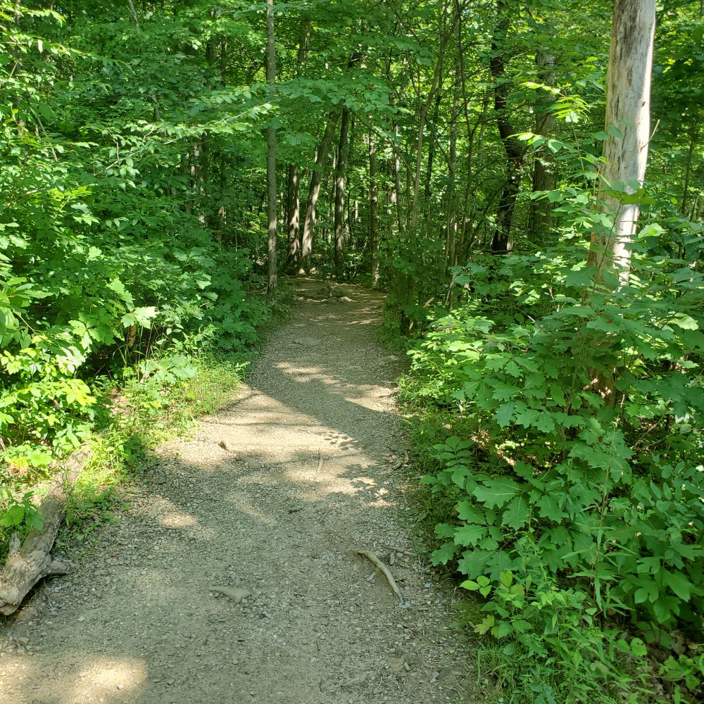 Outlook