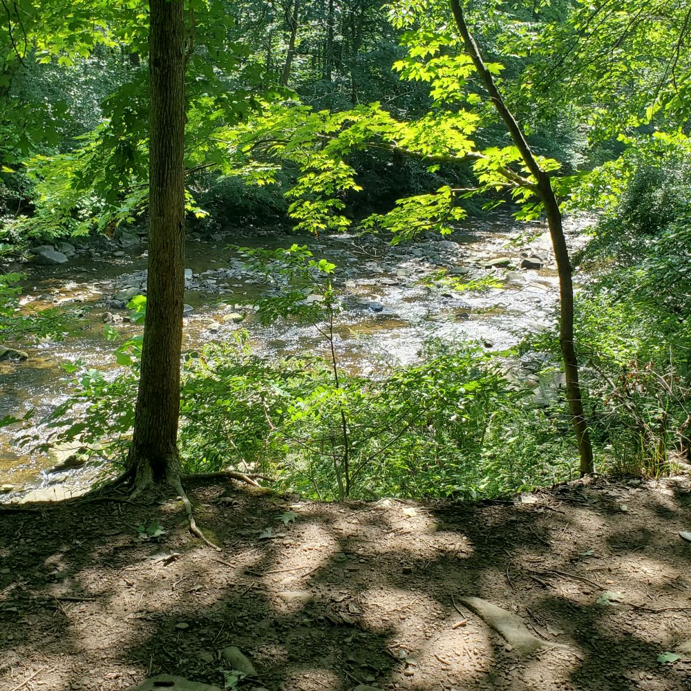 Outlook