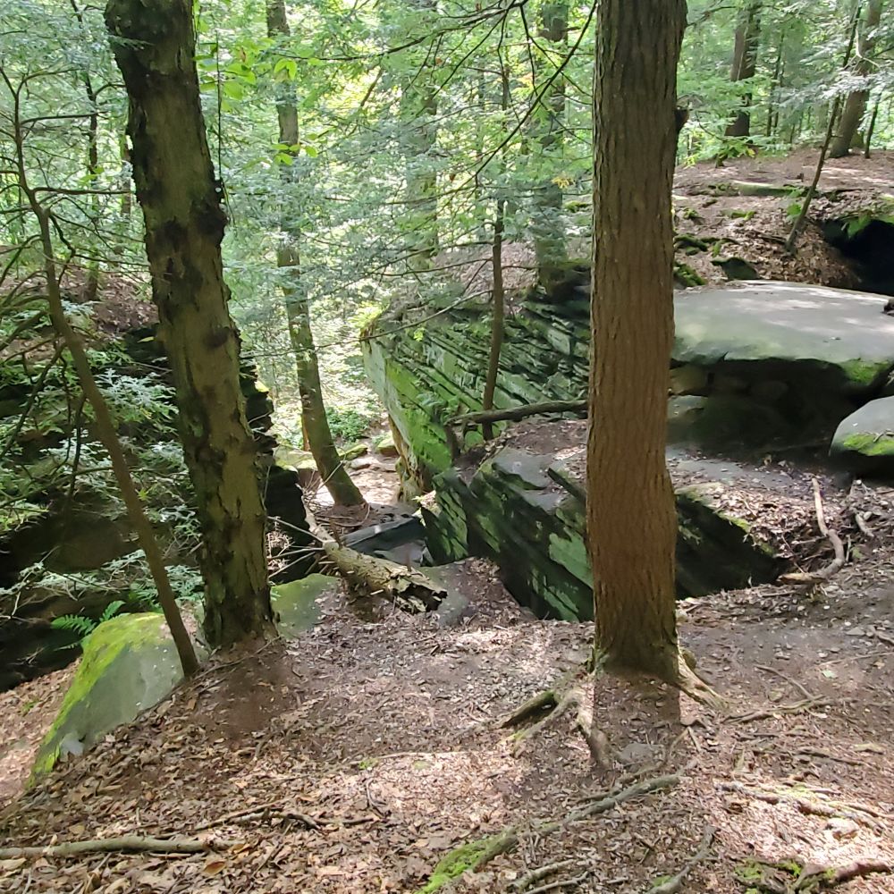 Outlook