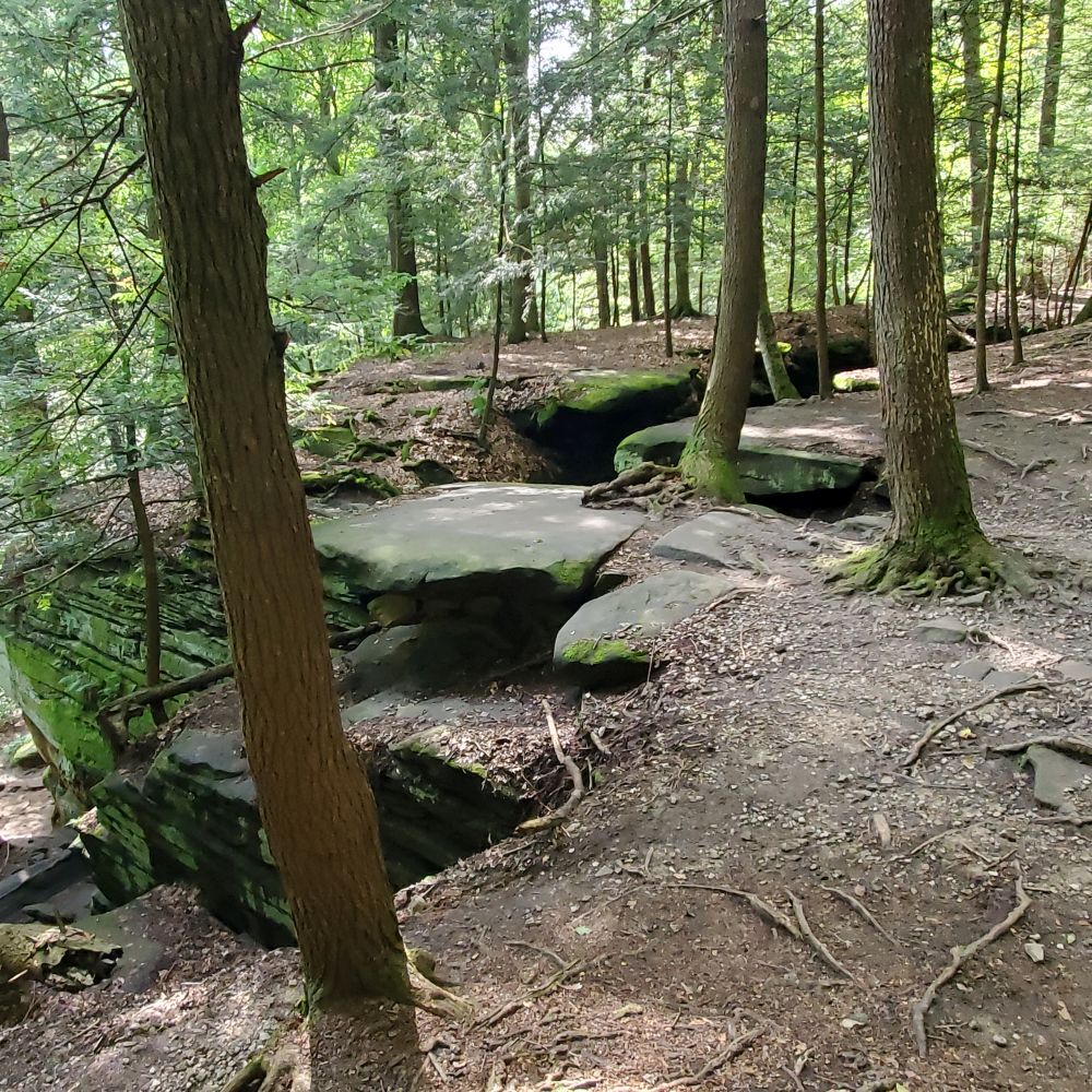 Outlook