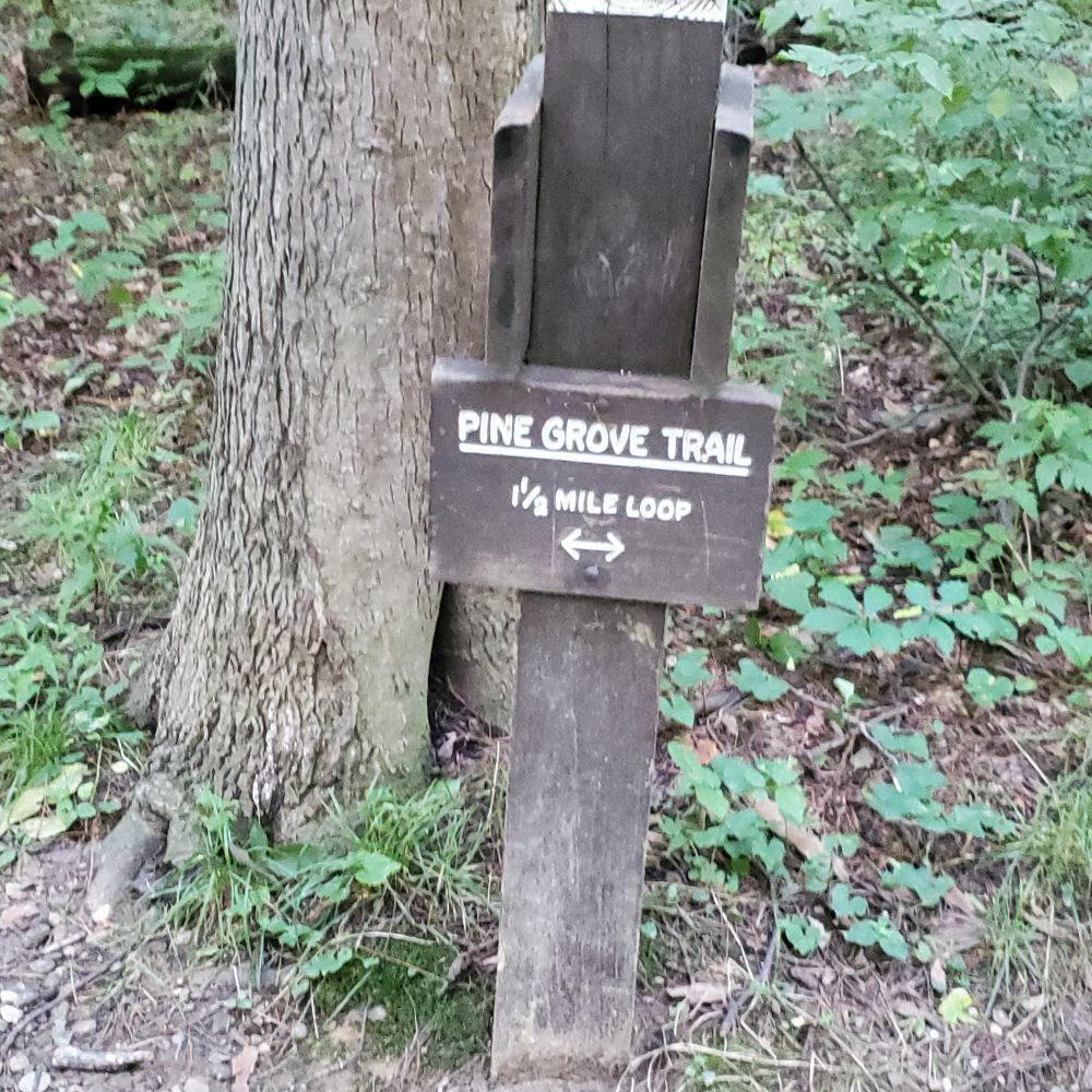 Outlook