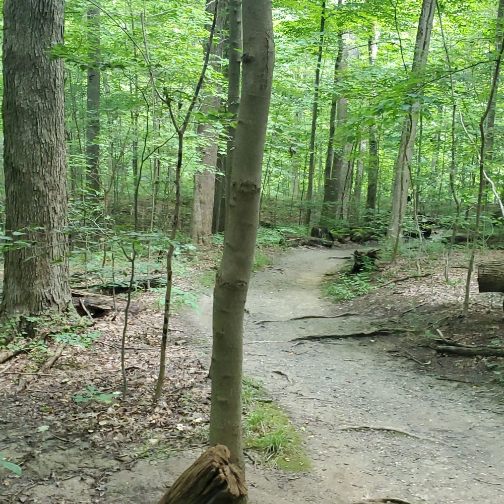 Outlook