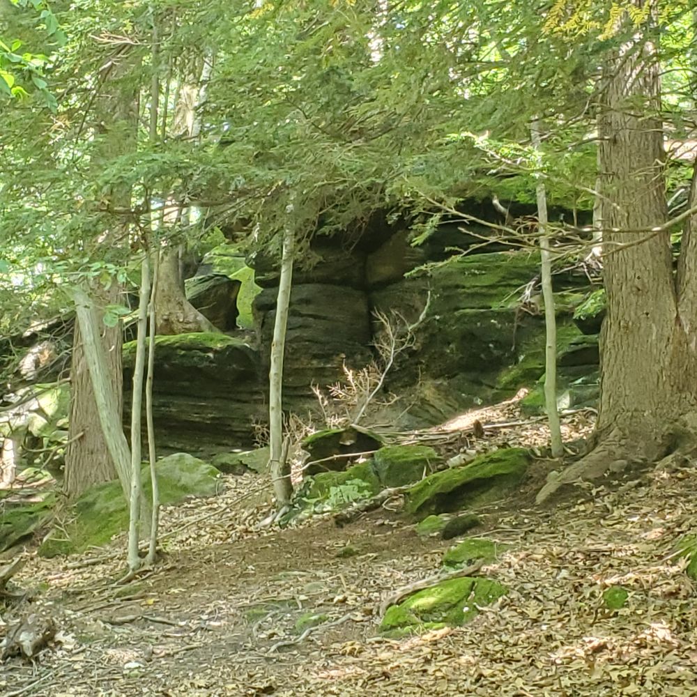 Outlook