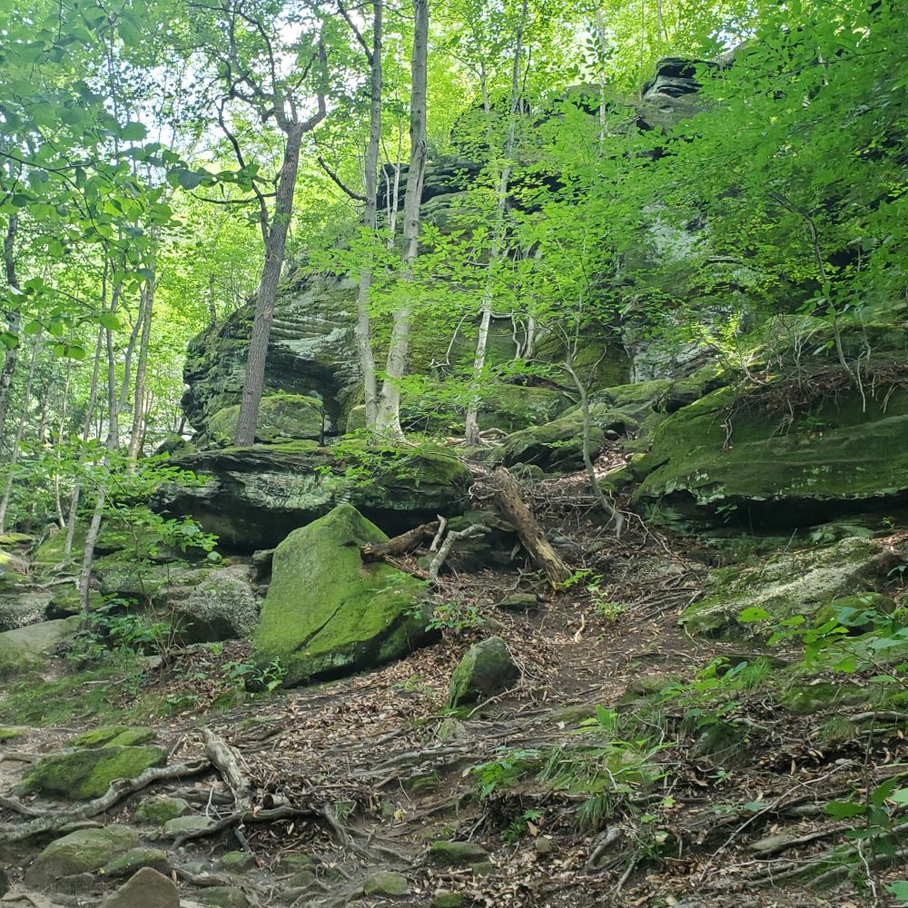 Outlook