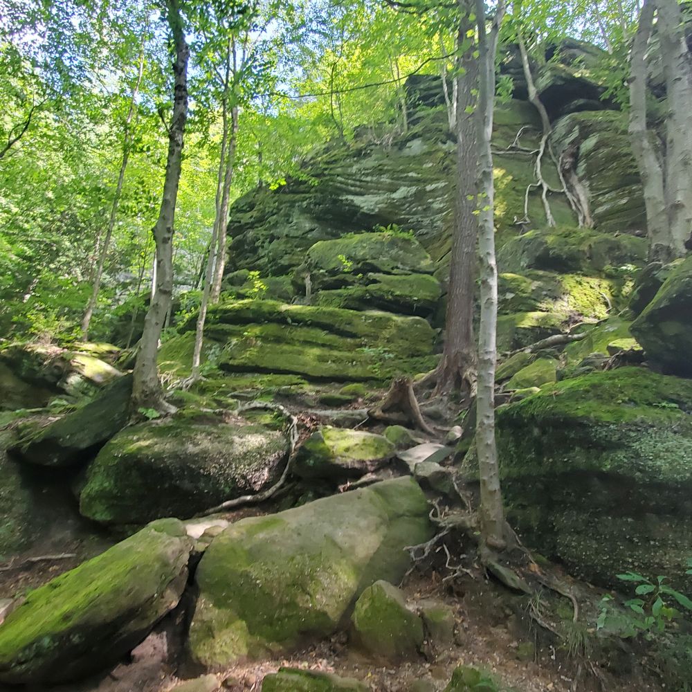 Outlook