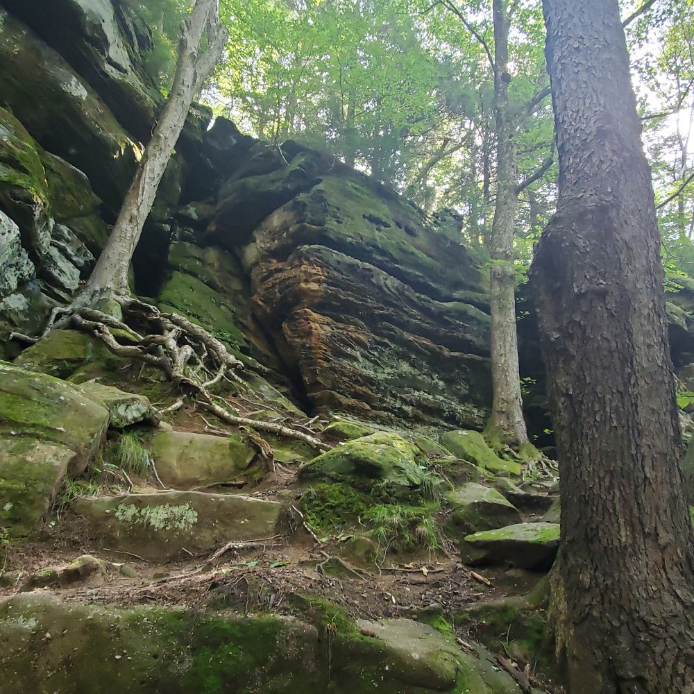 Outlook