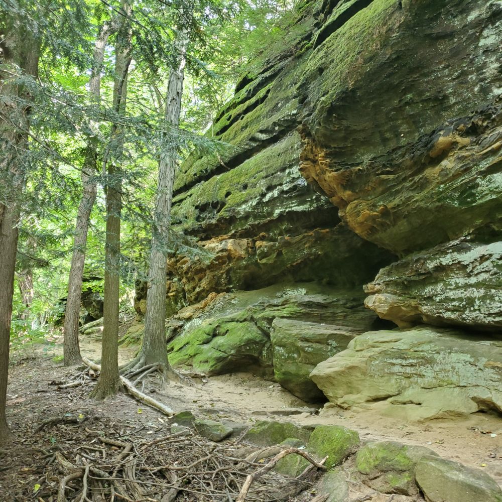 Outlook