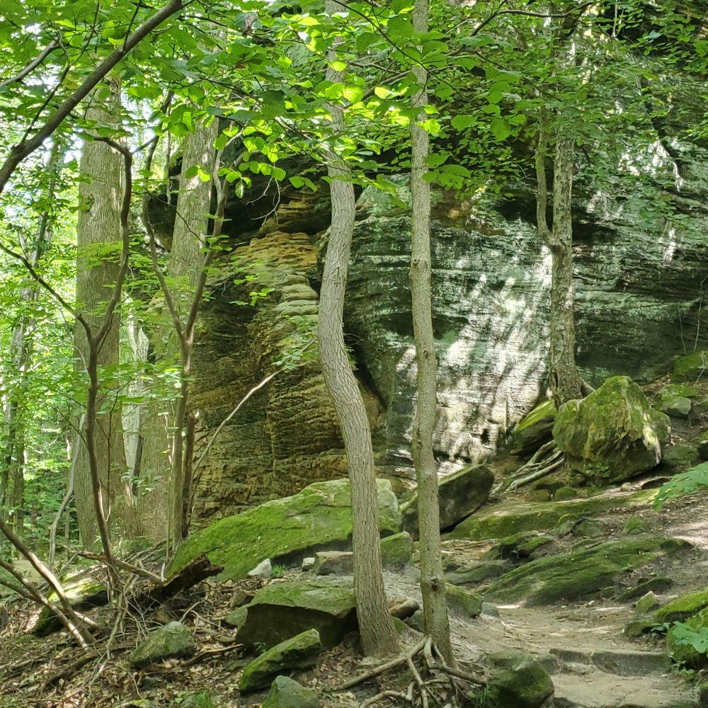 Outlook