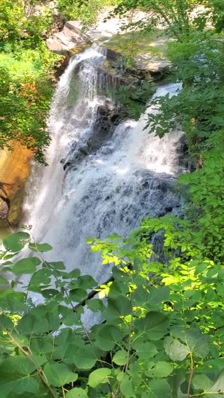 Ledges and Pine Grove Trails