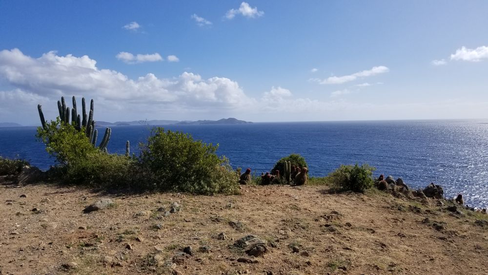 Outlook