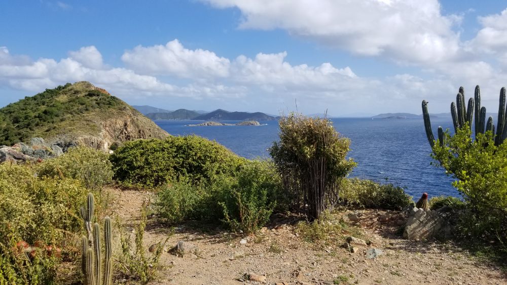 Outlook