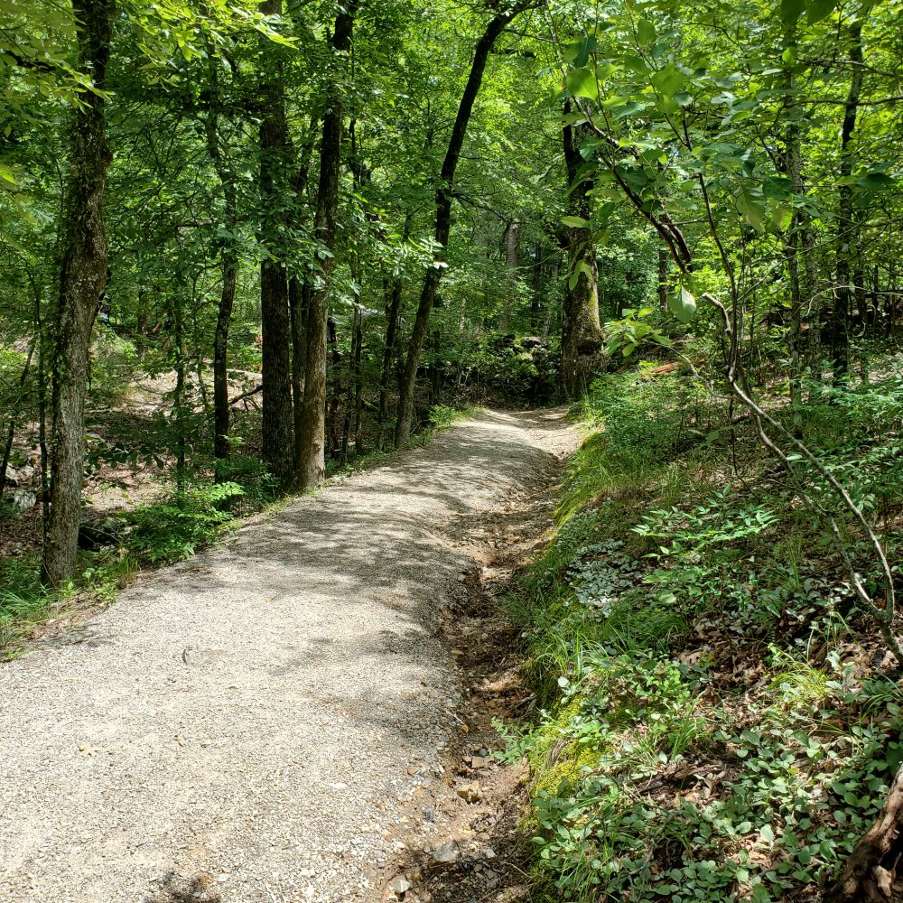 Outlook