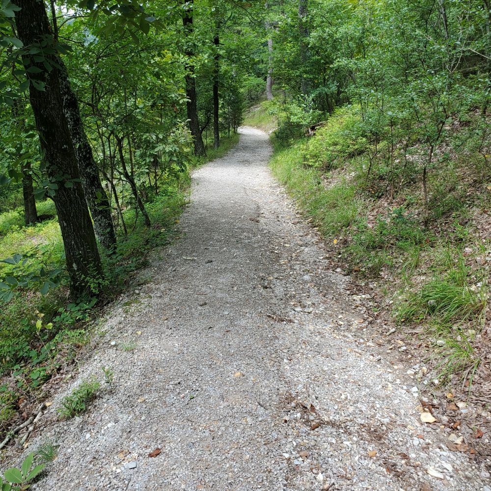 Outlook