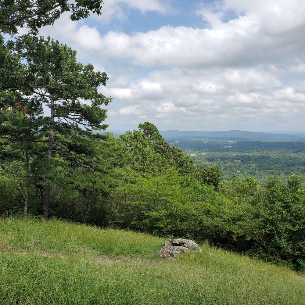Outlook