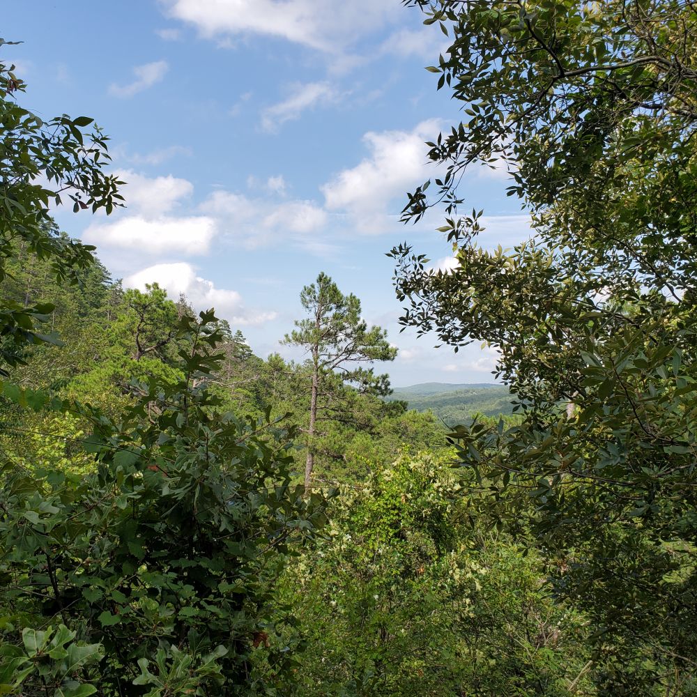 Outlook