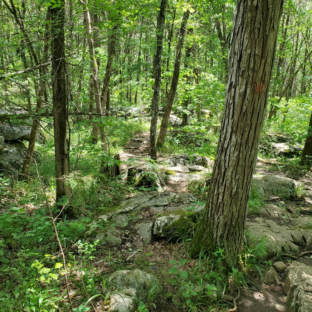 Outlook