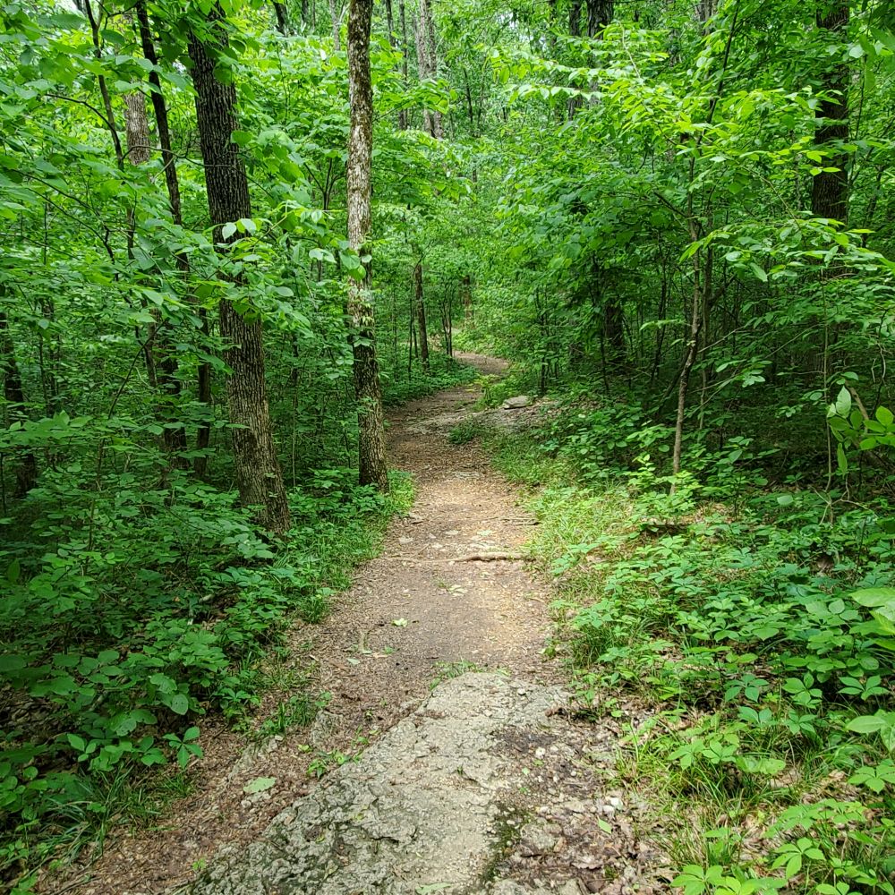 Outlook