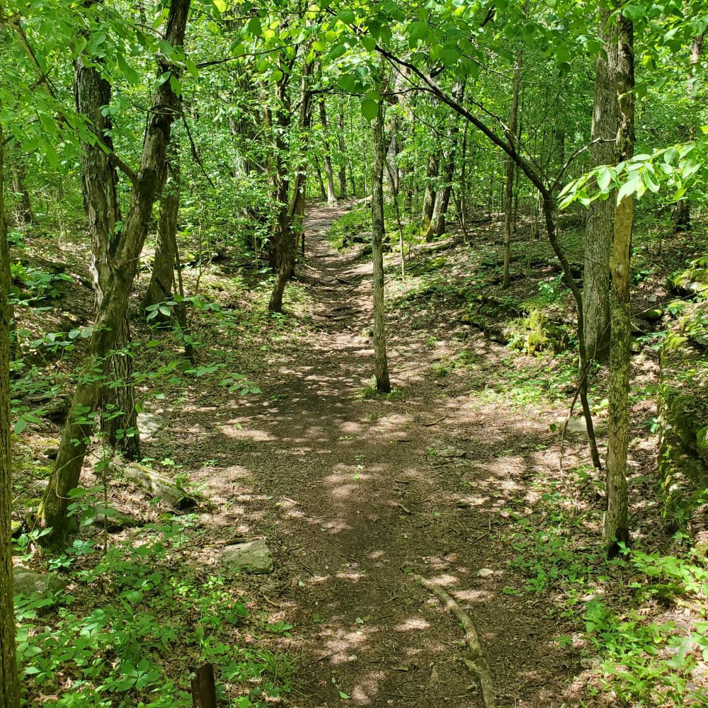 Outlook