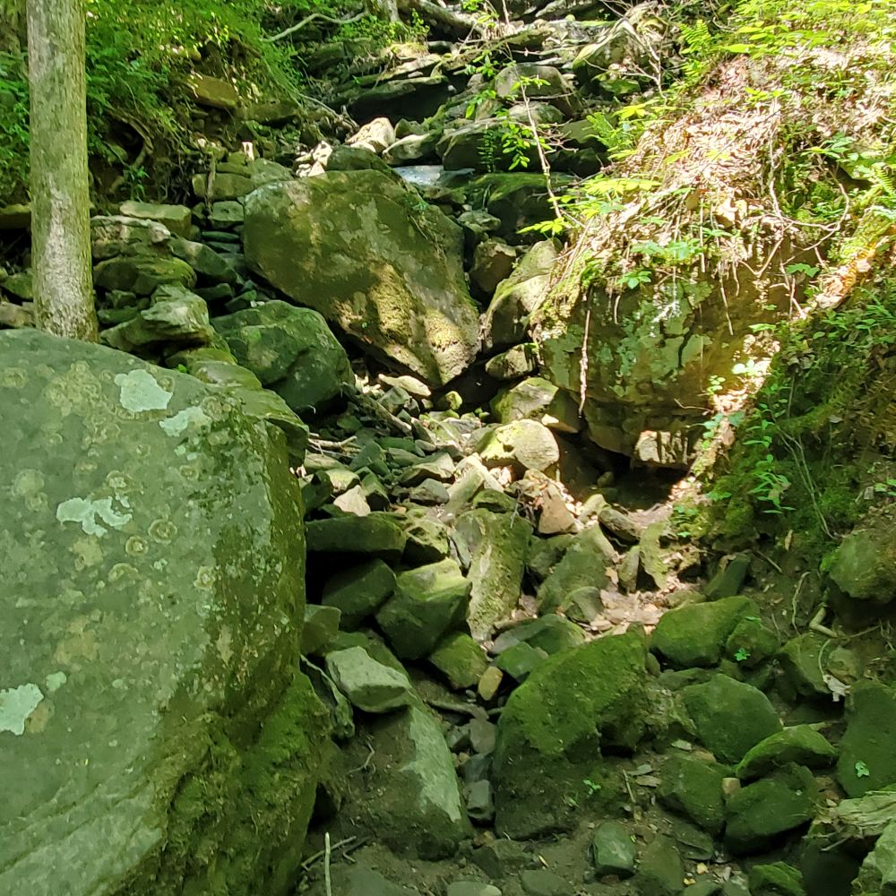 Outlook