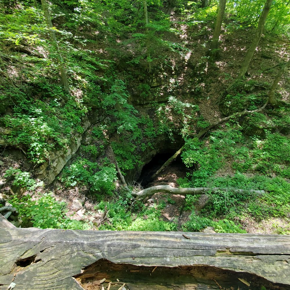 Outlook