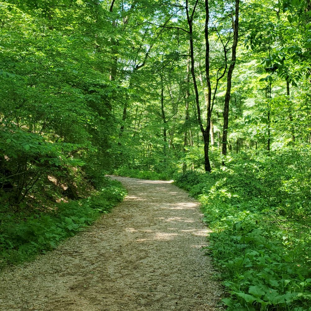 Outlook