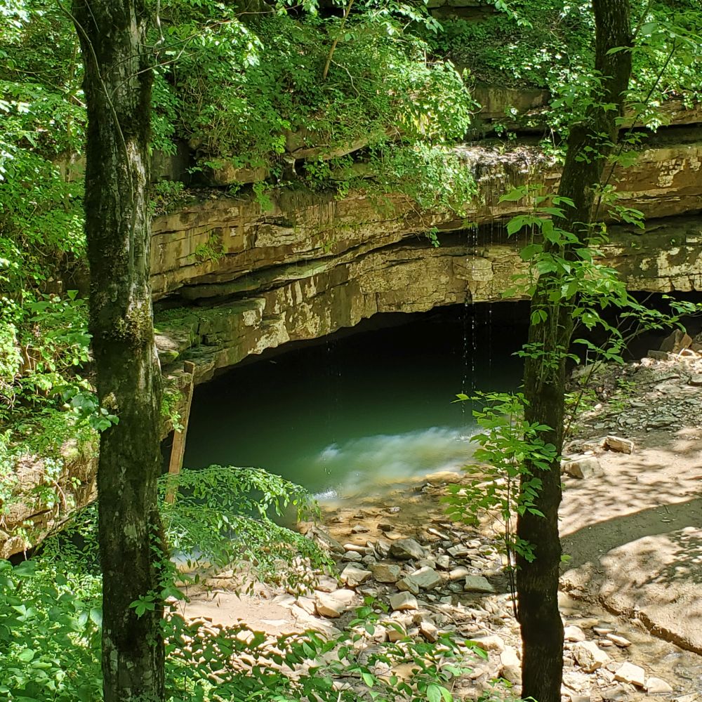 Outlook