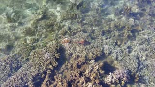 Manava Resort