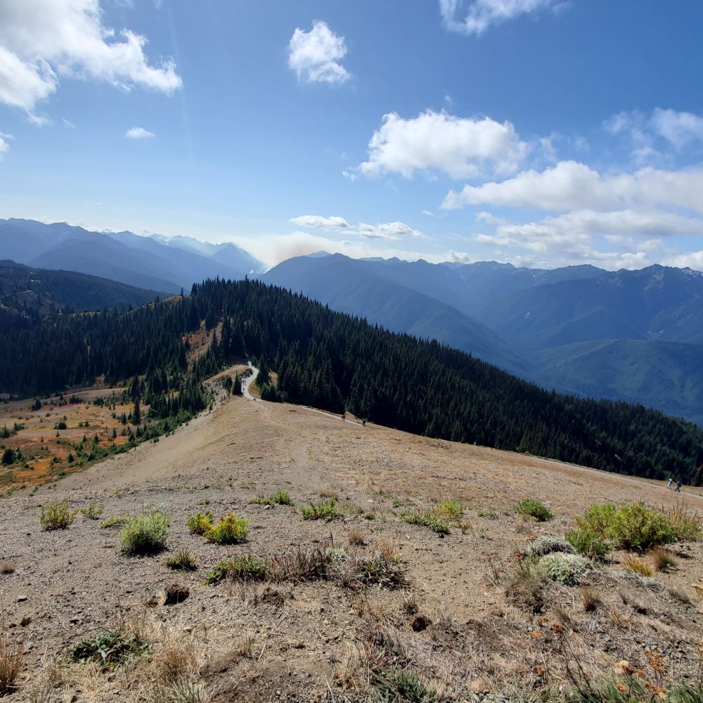 Outlook