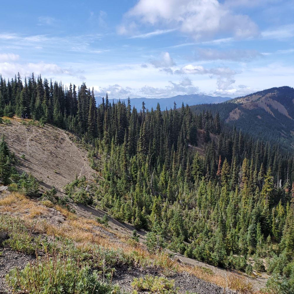 Outlook