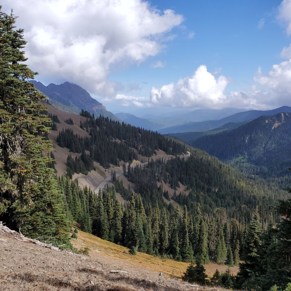 Outlook