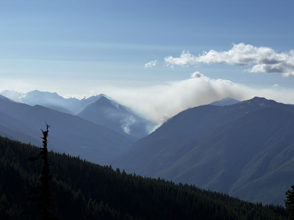 Outlook