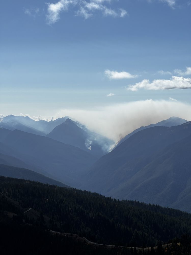Outlook