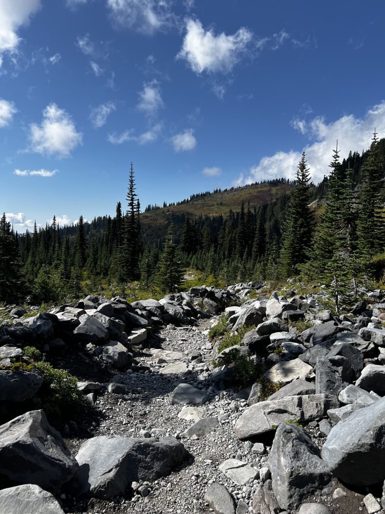 Outlook