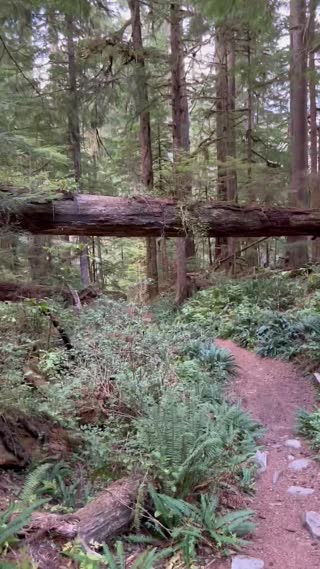 Mount Rainier NP