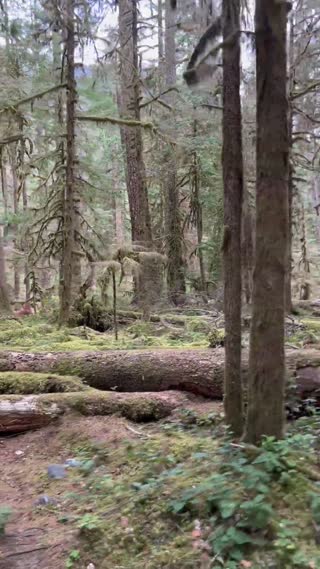Mount Rainier NP