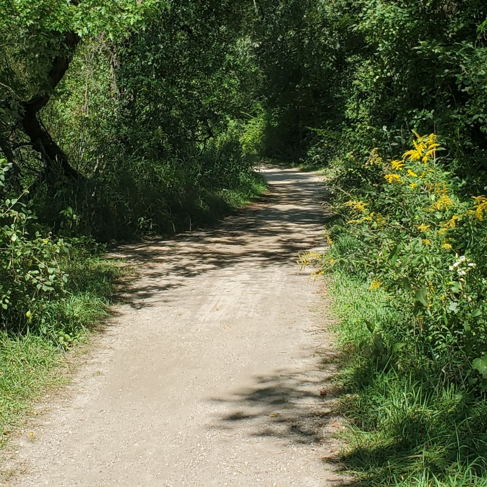 Outlook