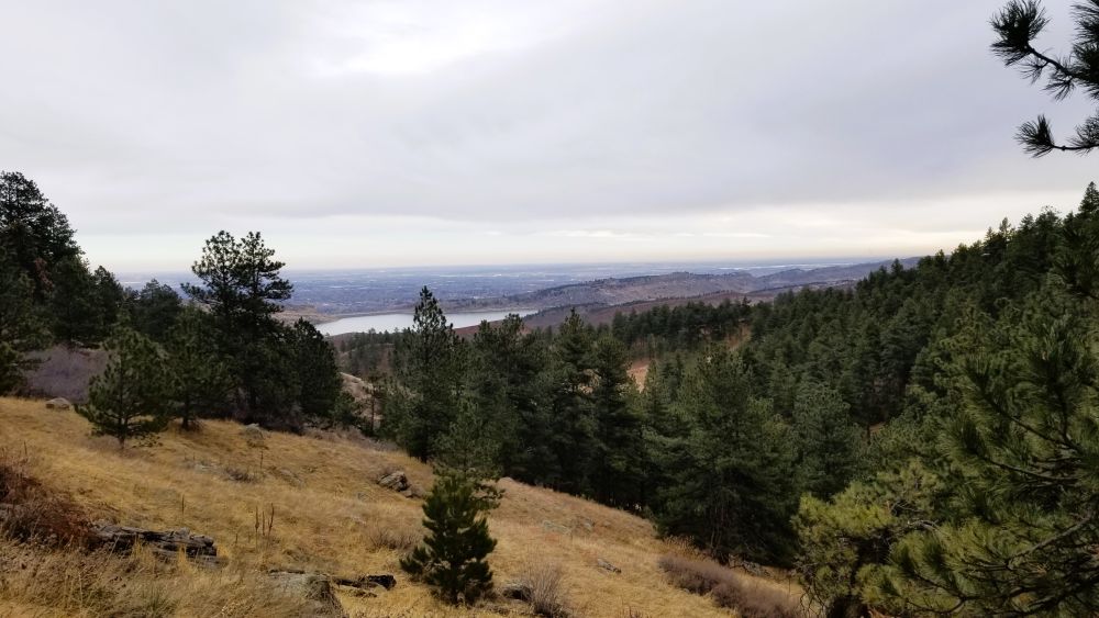 Outlook