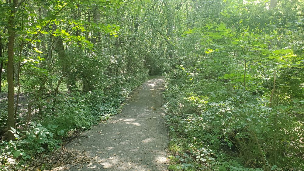 Outlook