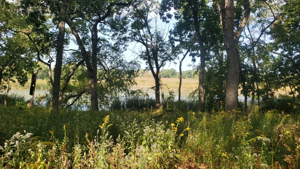 Outlook