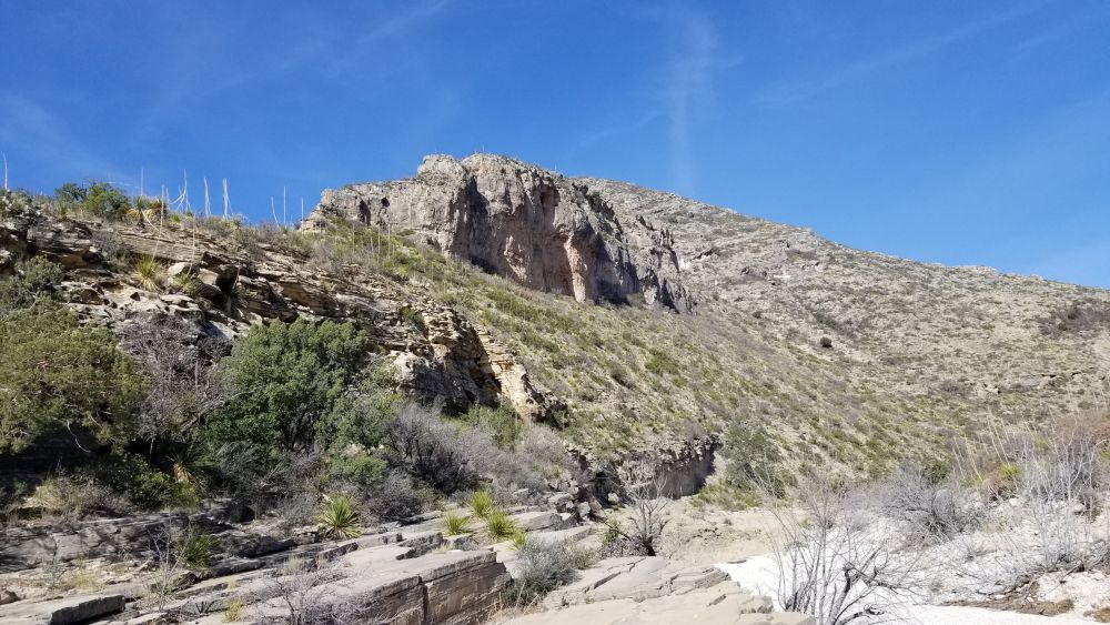 Outlook