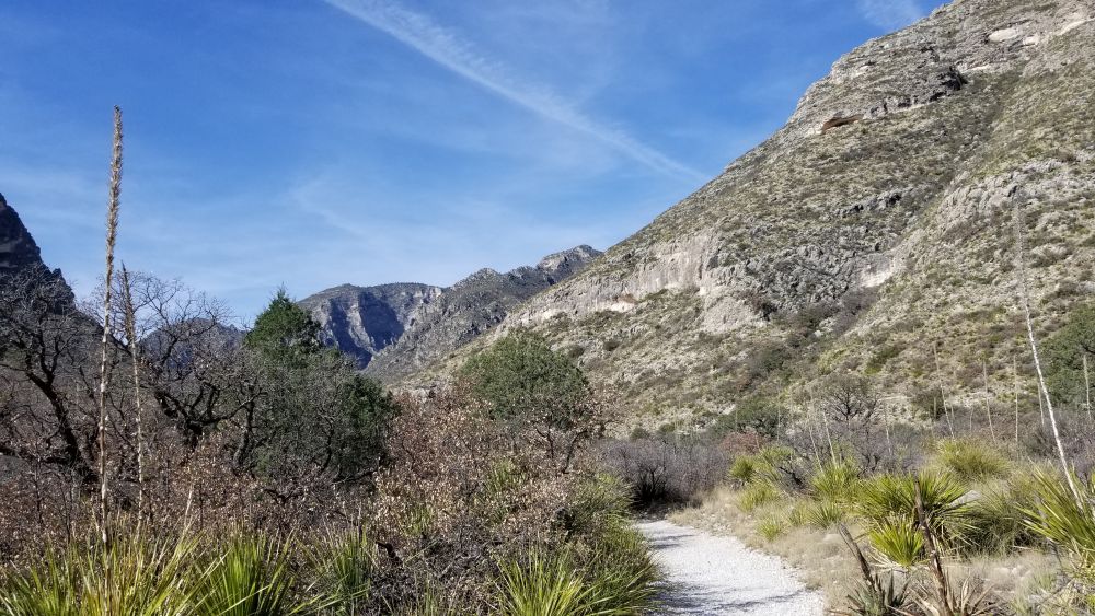 Outlook