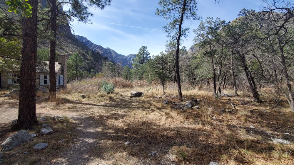 Outlook