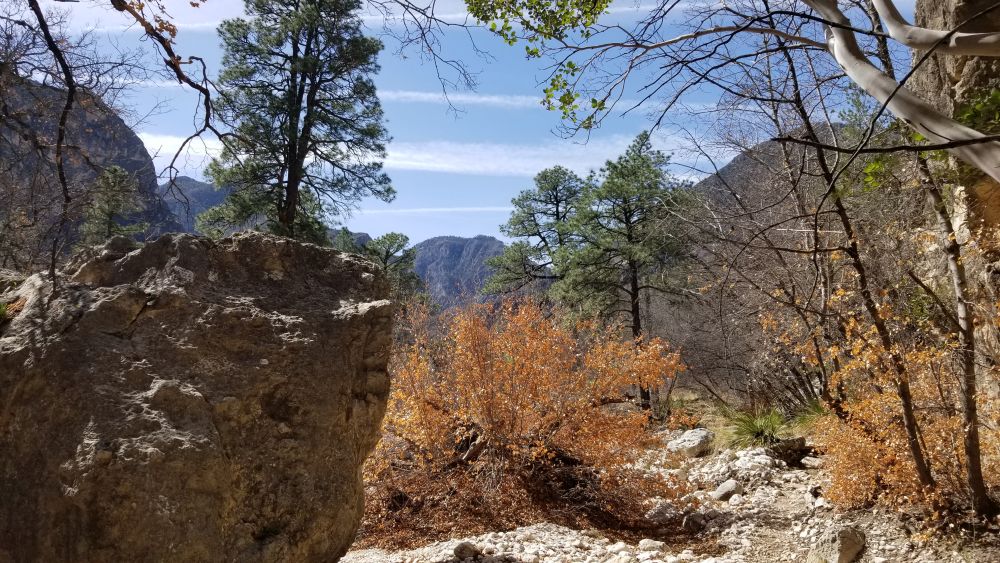 Outlook