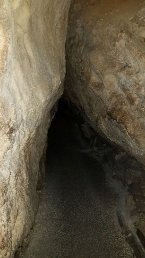 Outlook
