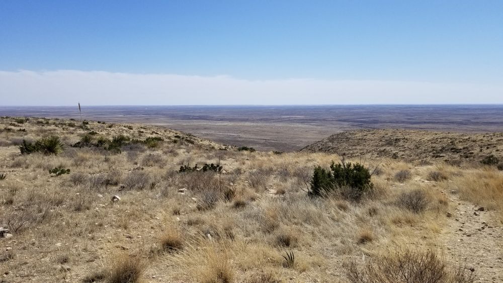 Outlook