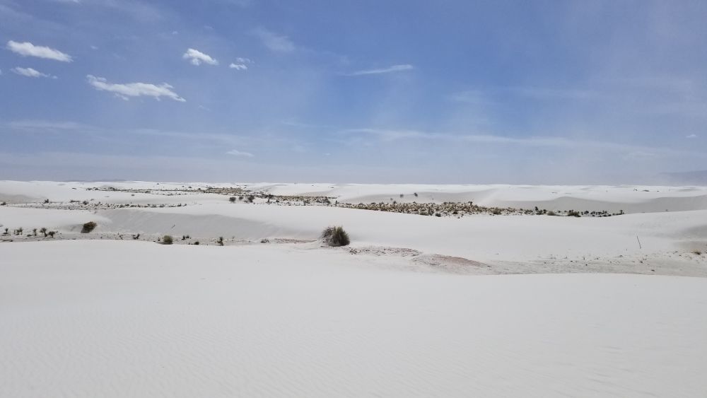 Outlook