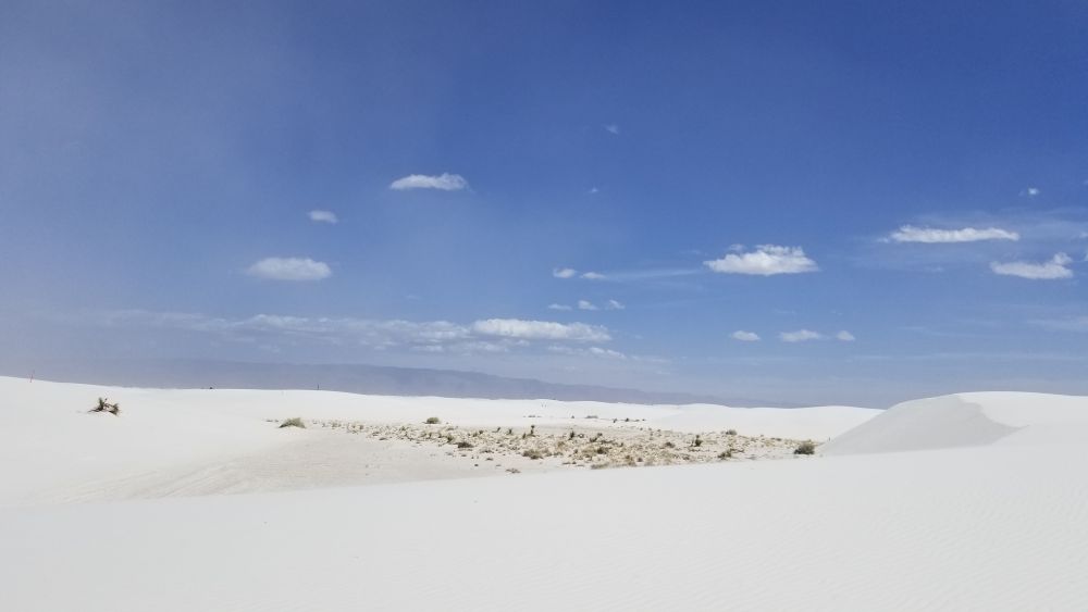 Outlook