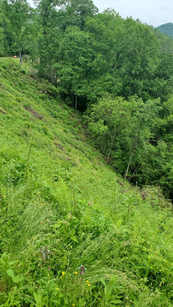 Outlook
